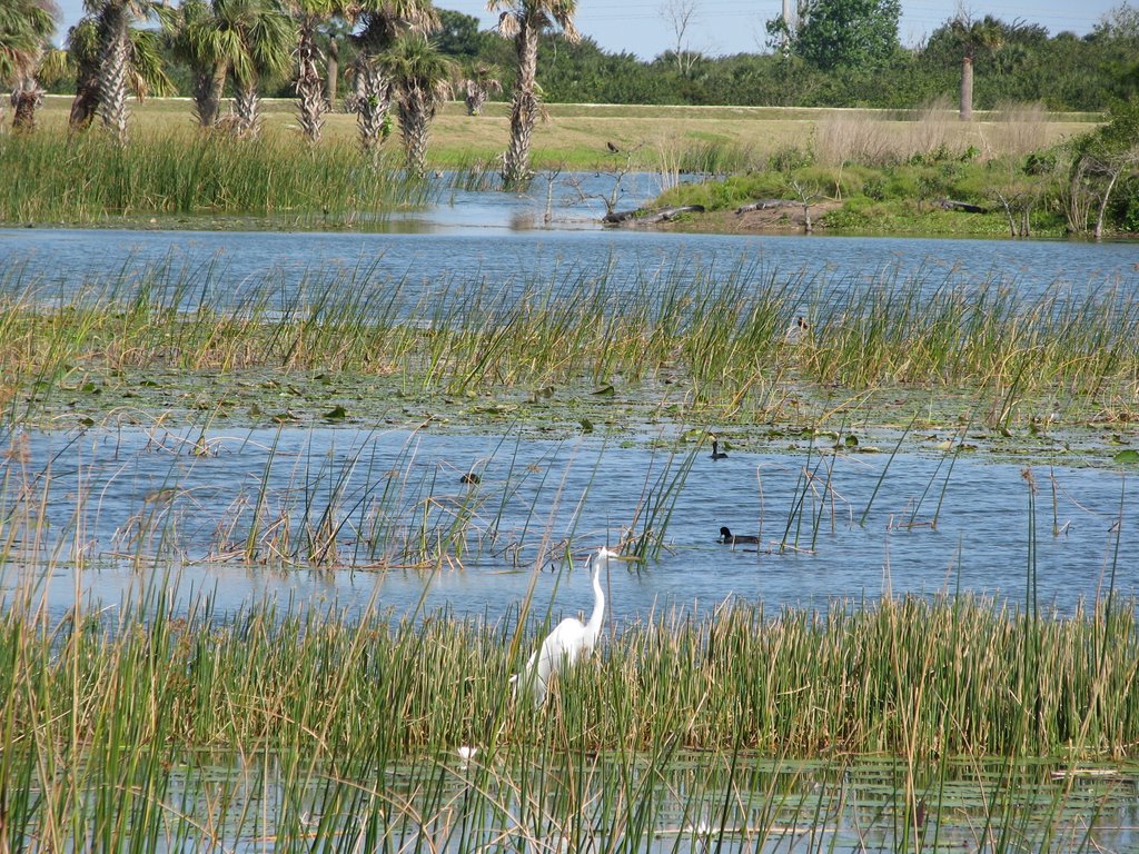 Viera Wetlands by kaloka