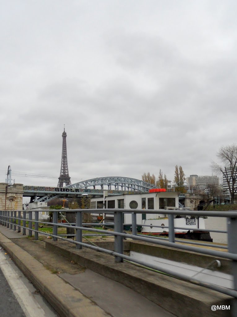 Pont Rouelle (Île aux cygnes/XVI°) by Marc BOVET-MORINON