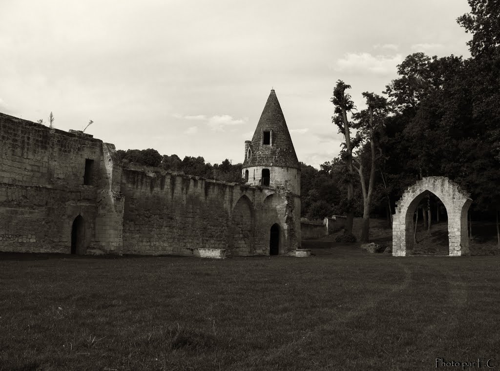 Parc du château de Septmont by TelKines