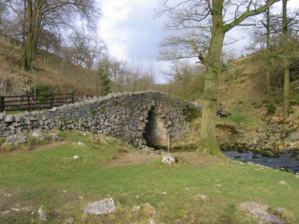 The bridge at Ingleborough Cave by SteWood