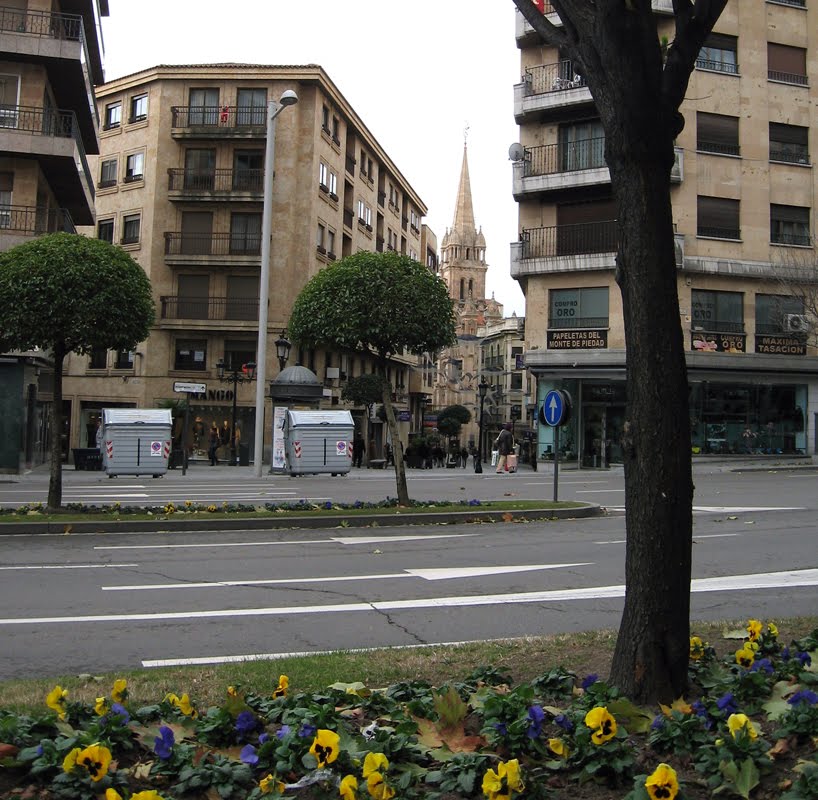 Salamanca - Avenida de Mirat. by R.F.Rumbao