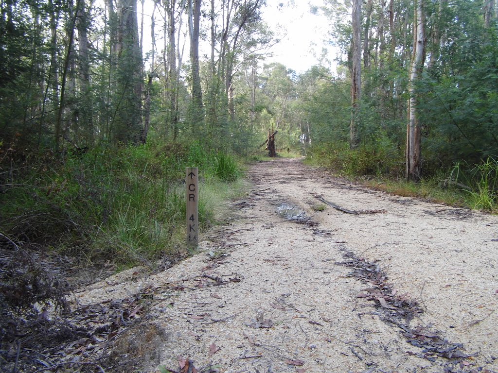 Walk to Cann River [2012] by XpektTom