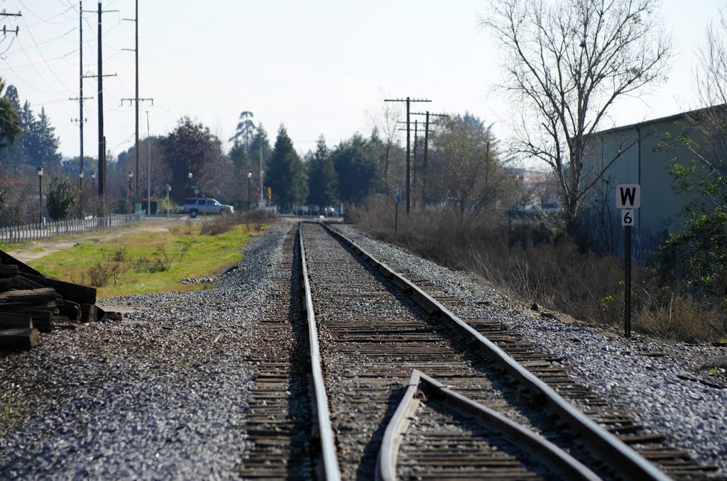 The San Joaquin Valley Railroad Co tracks head into Reedley just after crossing the Kings River, 1/2013 by David Husted