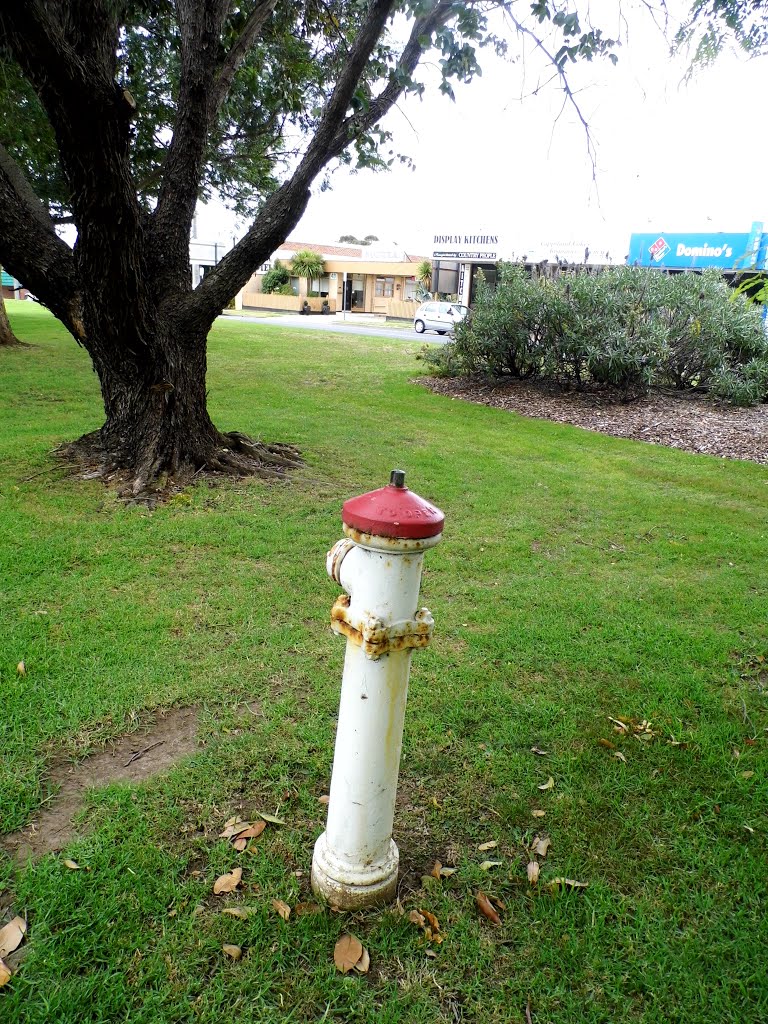 Fire Hydrant, Bairnsdale [2012] by XpektTom