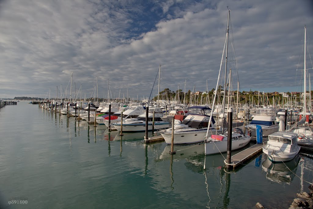 Half Moon Bay NZ by jd91800