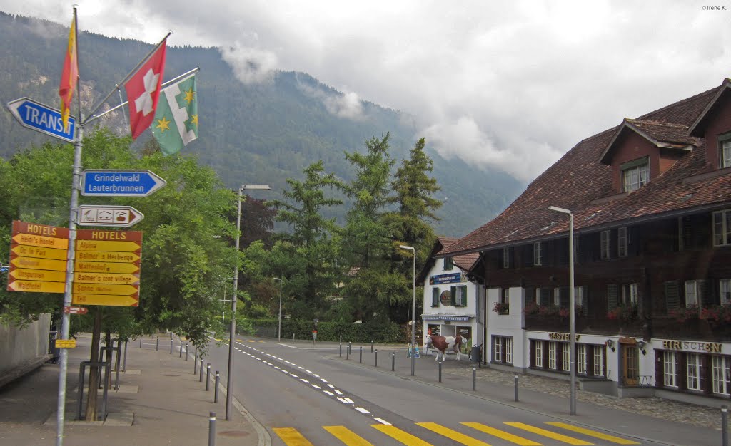 Interlaken, Switzerland by Irene Kravchuk