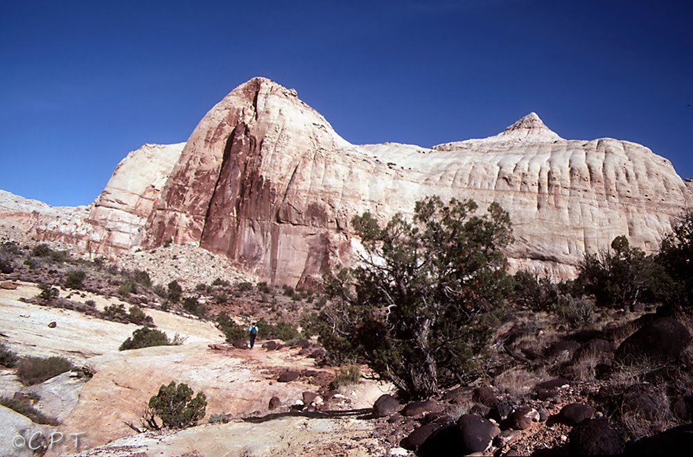 Capitol Reef N. P.: Montes blancos by CharoPTorrego