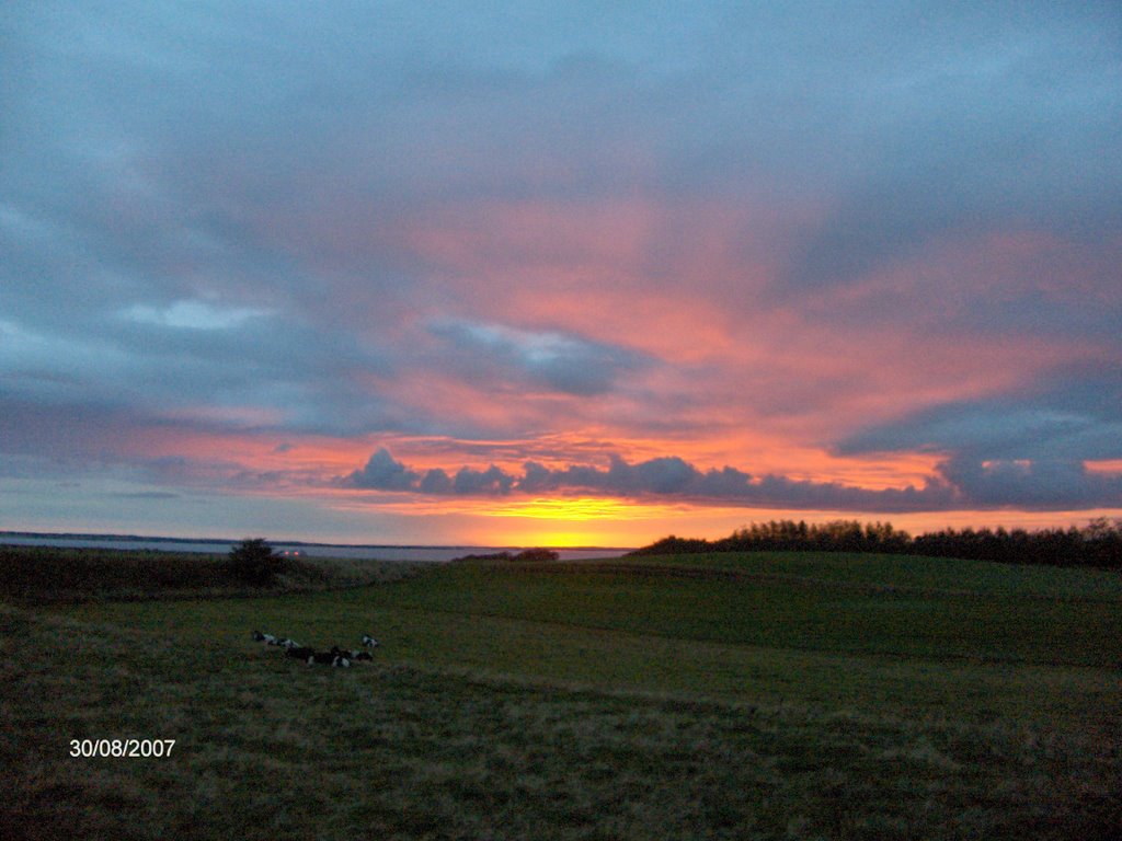 Sunrise at Sdr, Kamstrup by Holmgaard