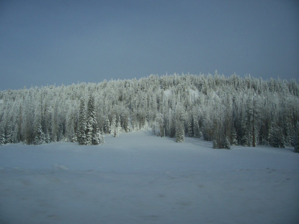 Montane winter by John A. Kilmer