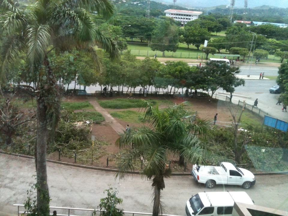 Trees removed at Vunupindi Haus front area along Waigani Drive in WAIGANI area, Port Moresby, PNG, Photo by Natascious Nataska, on 16-02-2012 by Peter John Tate,