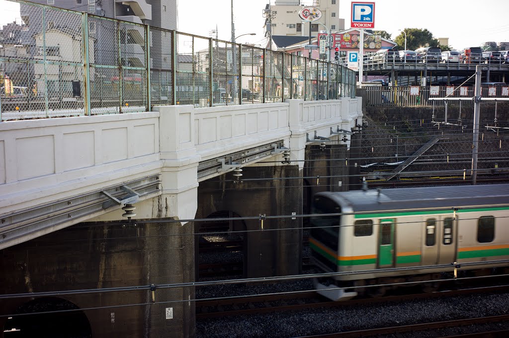 JR Tohoku Line / JR 東北本線 by Kangoo_