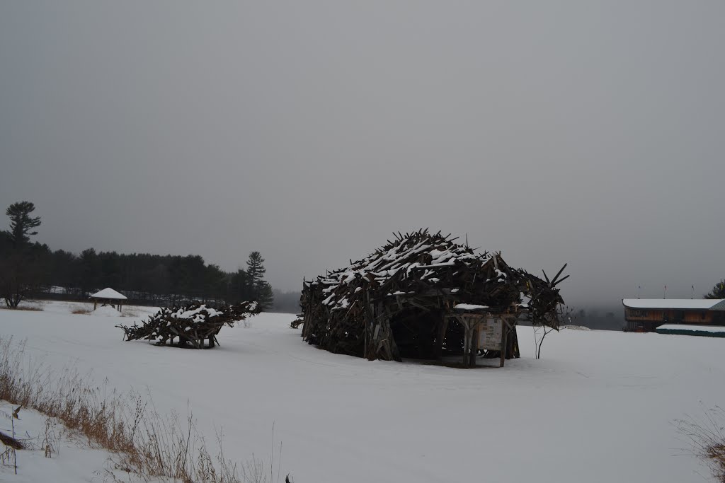 The Vermontasaurus – the scrap-wood dinosaur from Post Mills by JBTHEMILKER