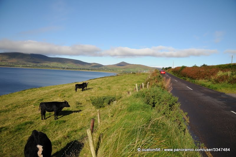 Typical landscape of Dingle by ouatom56