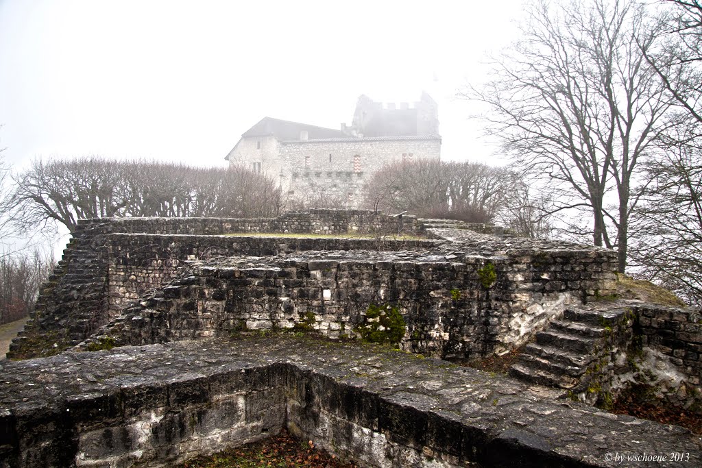 Ruinen vor dem Schloss Habsburg by WESO