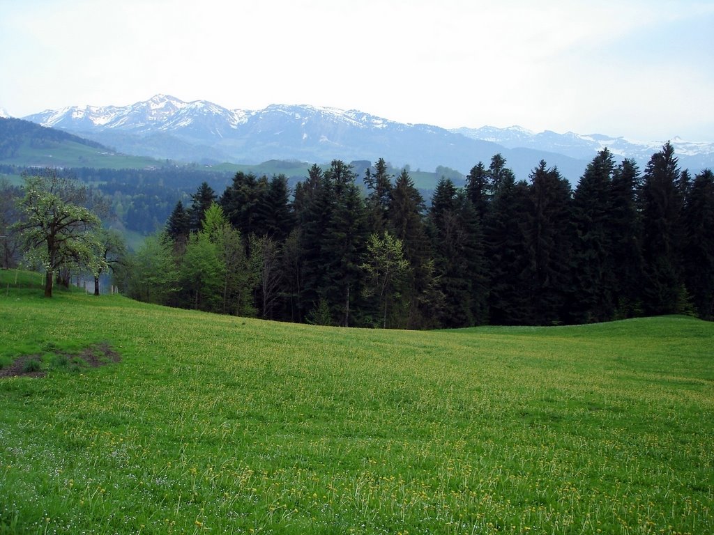 2000 meters at Doren, Austria by DebbieBlau