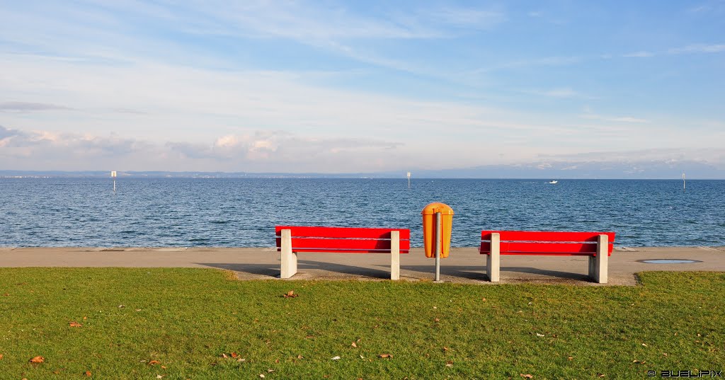 Am Bodensee bei Arbon (© Buelipix) by Buelipix