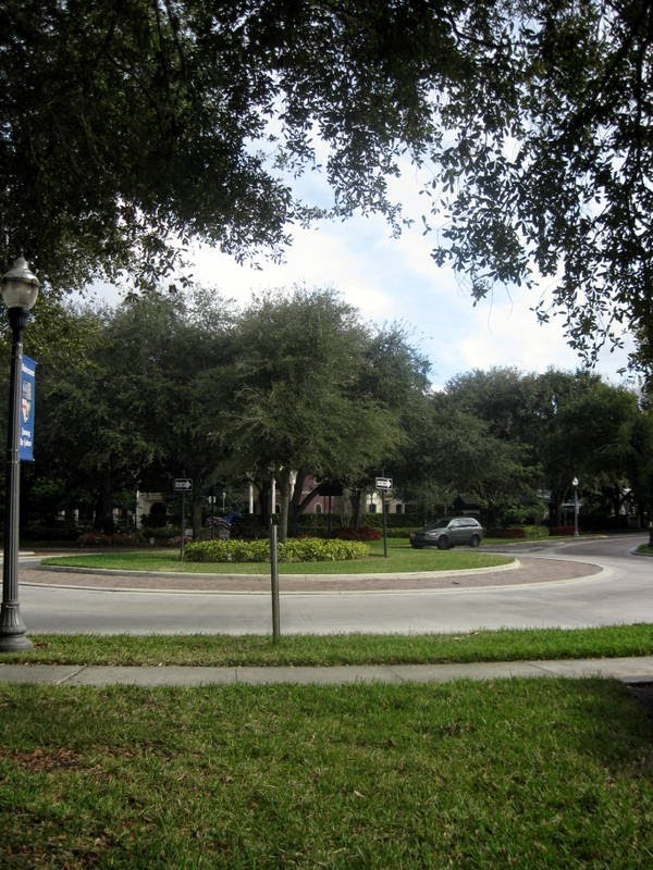 Rounabouts/Rotondas-Windermere, Florida by AdrianoAntonio