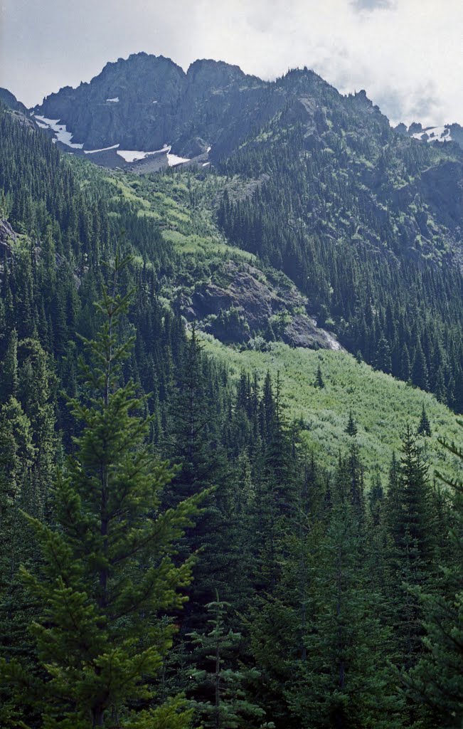 Tubal Cain Mine Trail, Olympic National Forest, WA by bobbudi