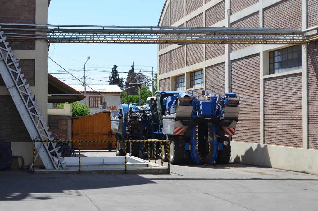 Argentina. Mendoza. Bodegas Lopez (84709185) by Viktor Bakhmutov