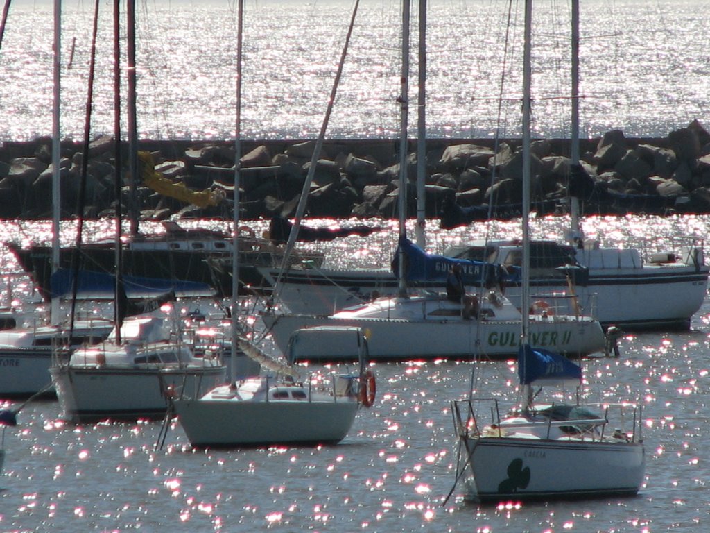 PUERTO DEL BUCEO by LUCIO G. LOBO JÚNIOR