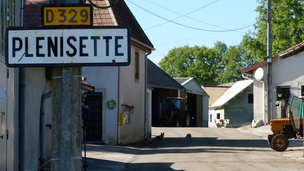 Entrée de Plénisette (Jura) by Alain TREBOZ