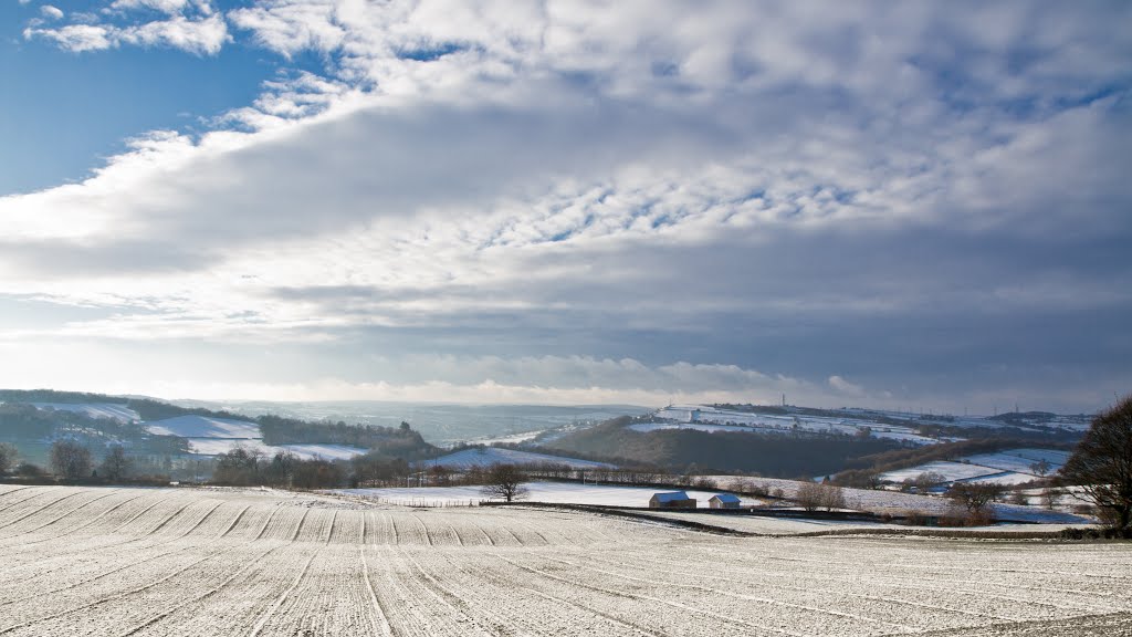 Snowy Fields by parttimedogfish