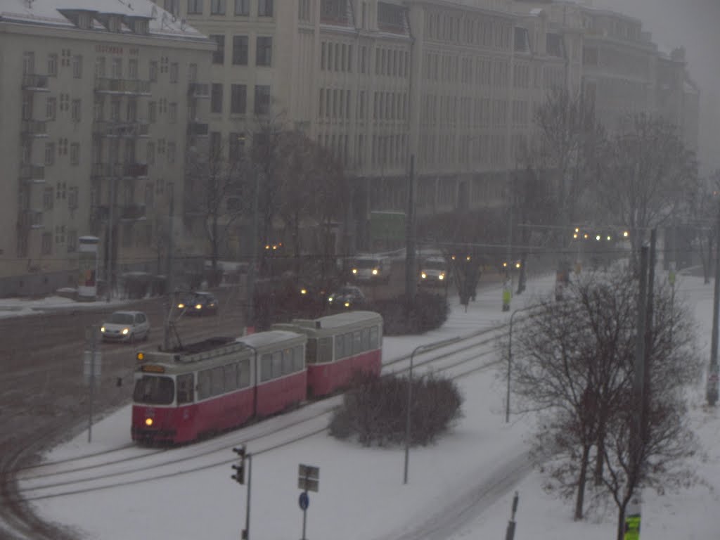 Morgendliches Schneegestöber (14.1.13) by e.m.r. 2 - a picture a day