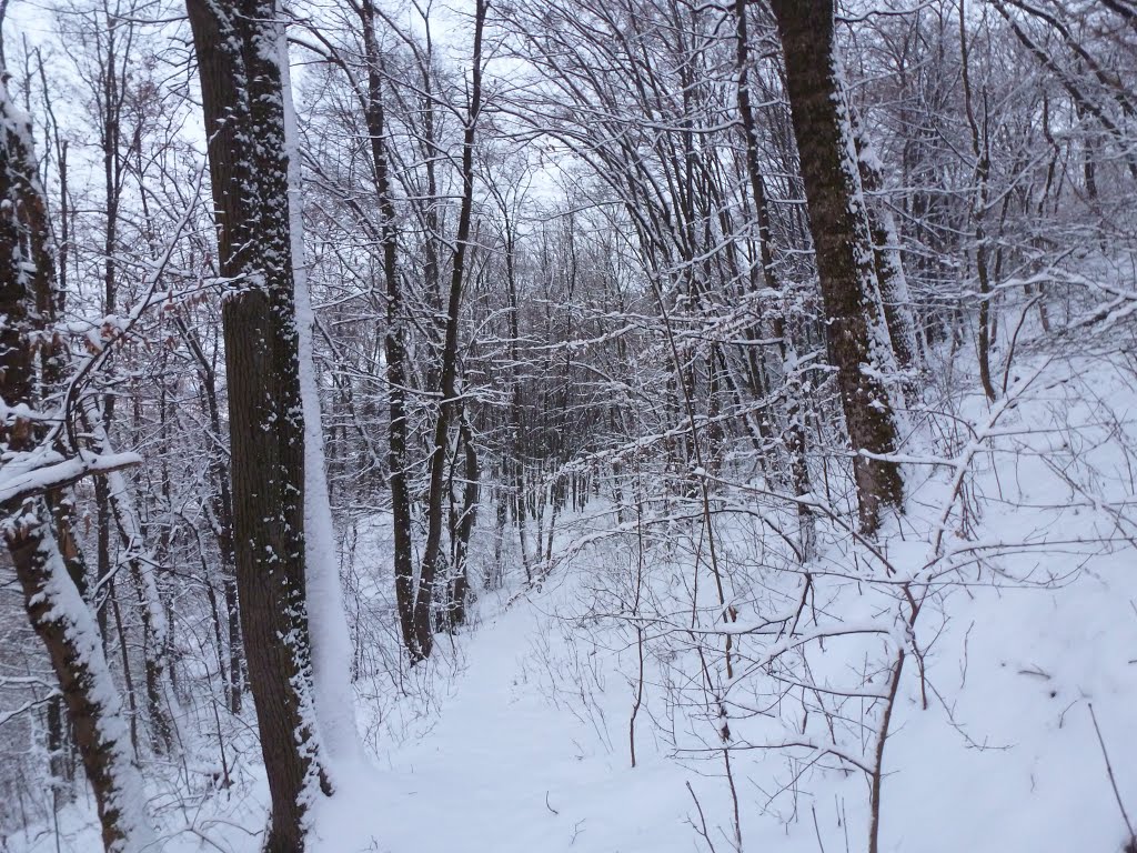 Naturfreunde Rundwanderweg im Winter by gt123456