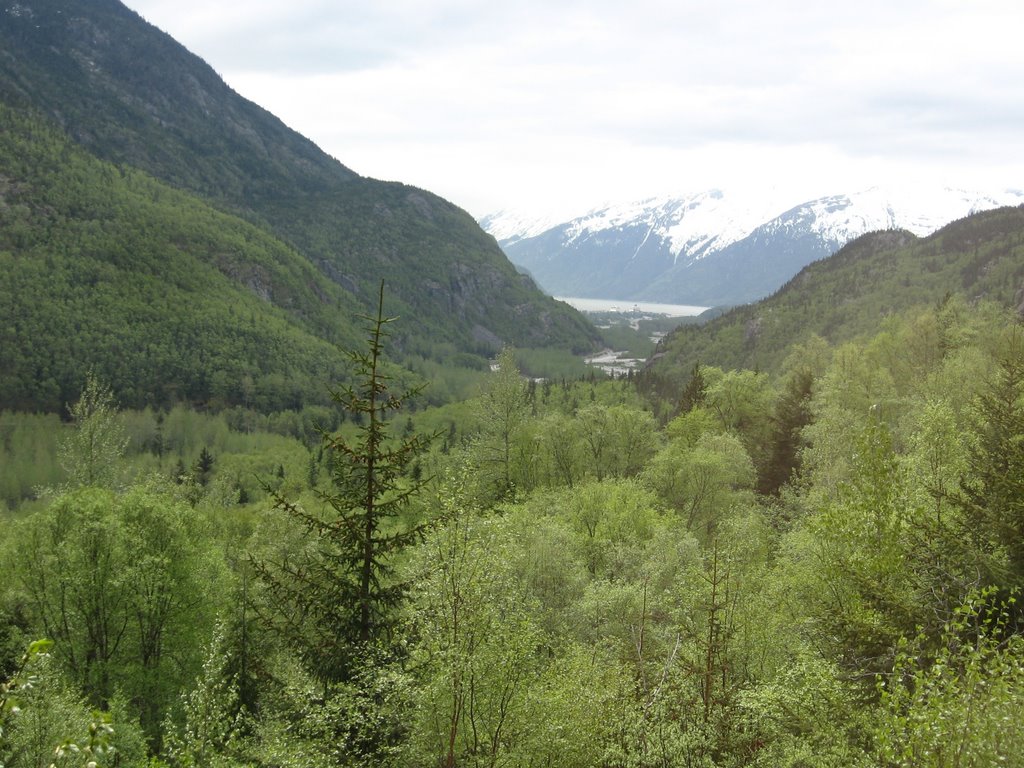 Valley overlooking Skagway by yvr101