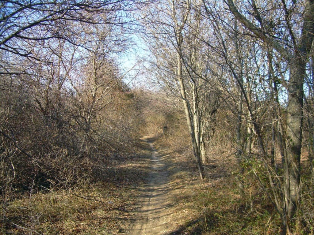 Trail View State Park by mortonfox