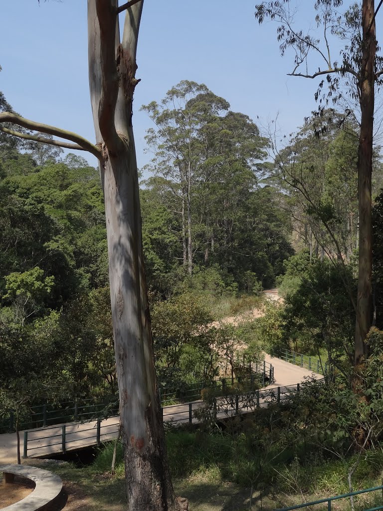 Parque da Consciência Negra – São Paulo, 2012 by Daniel Souza Lima