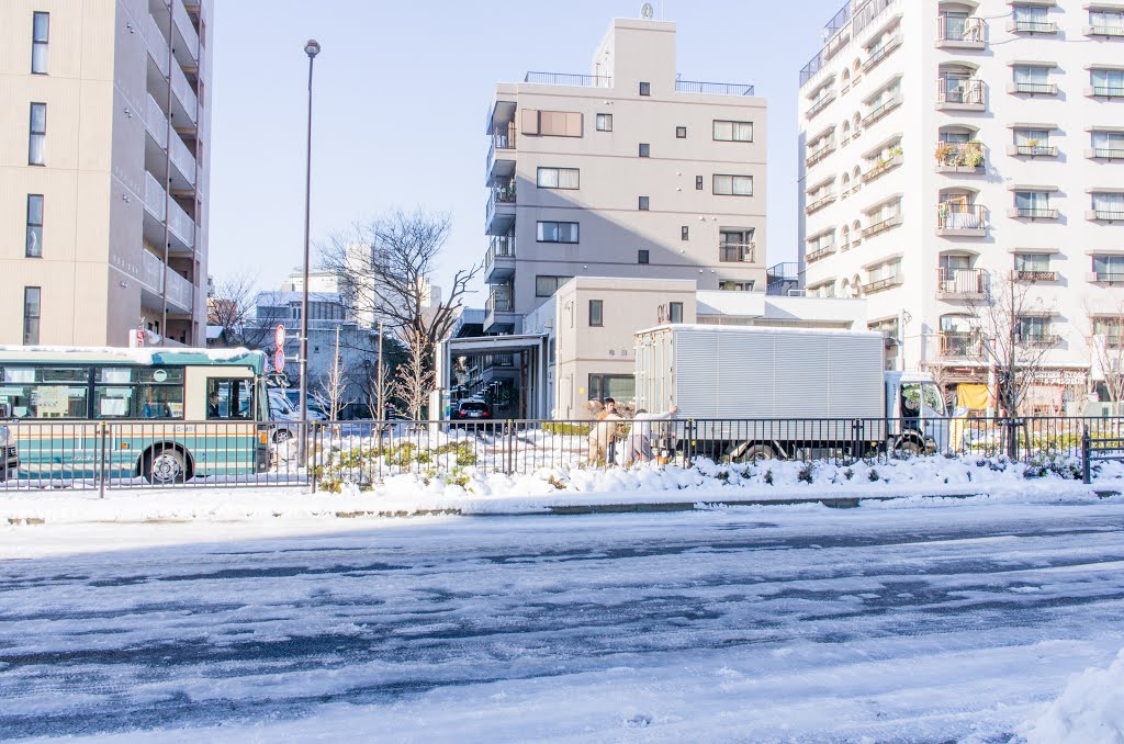 雪で立ち往生@山手通り by Syncopated_Frog