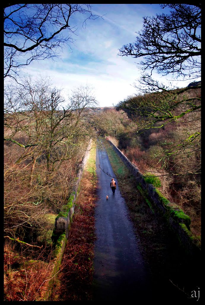 Pontsarn Viaduct built entirely out of local limestone quarried from the local railway cutting. It stands at over 90 feet high and over 448 feet long,and was built in 1886 to carry coal and lime. by anthonyjames