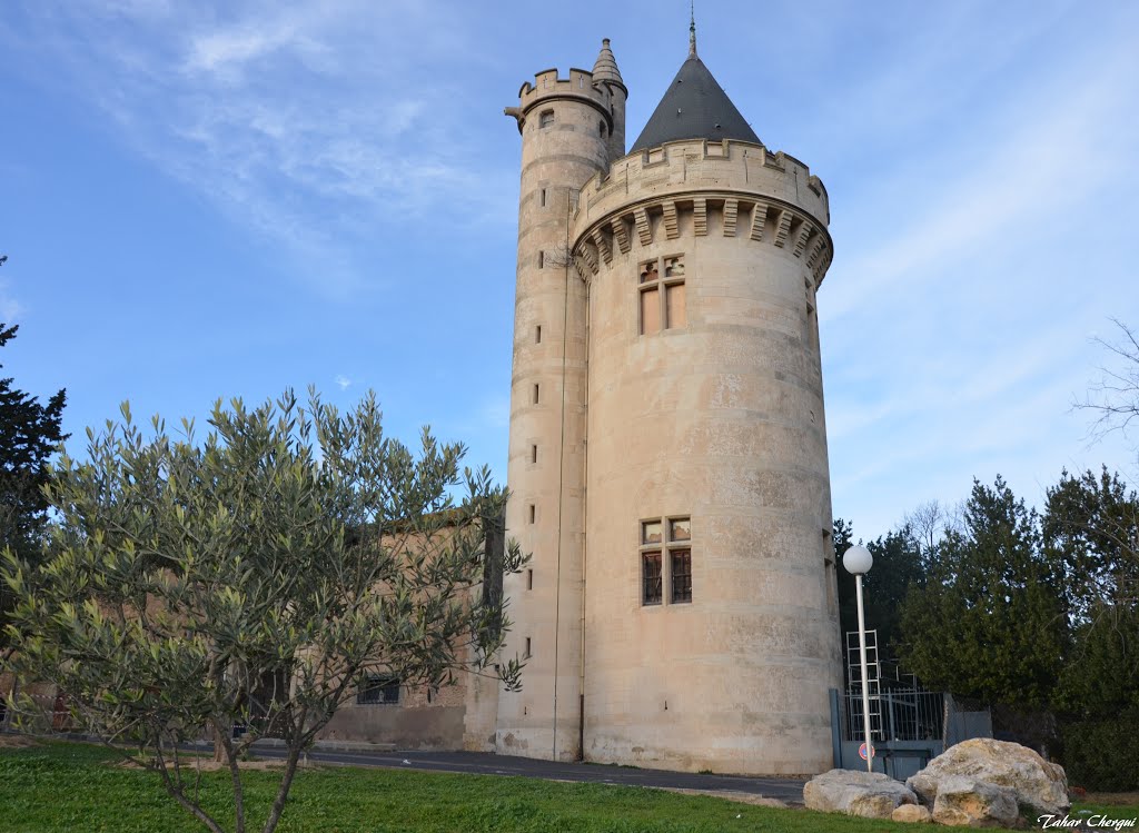 Béziers , la tour du Chateau de la Devèze by Tahar 29