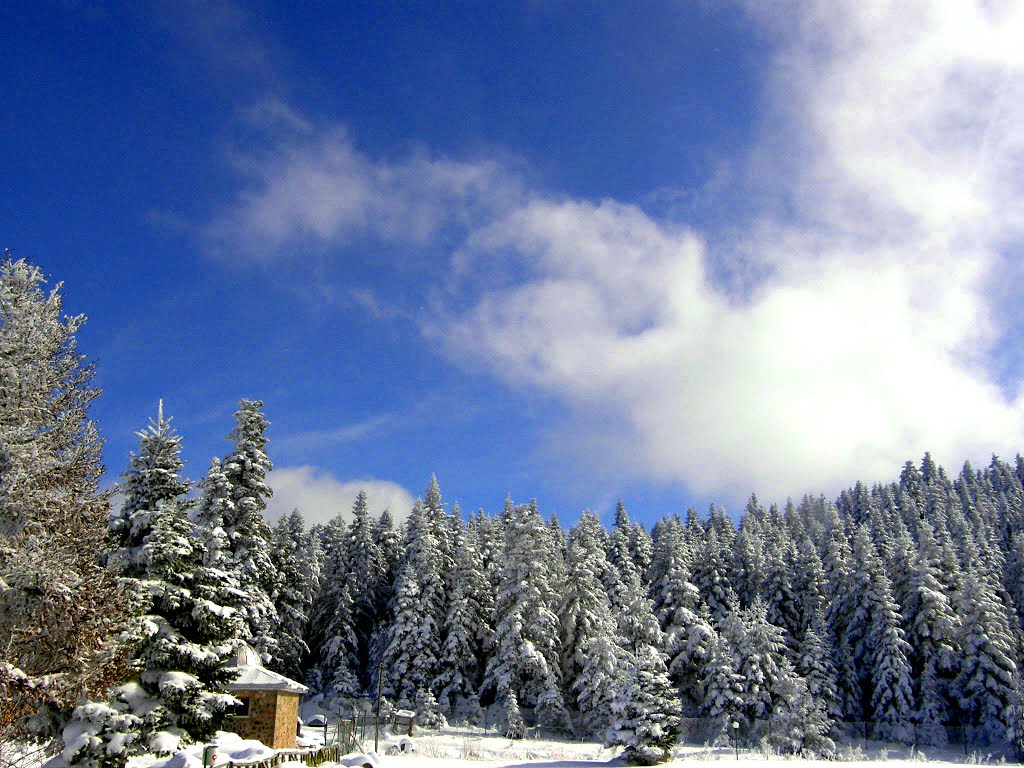 Snow Scene of Bolu Province @ Northwestern,Turkey by j-ryu