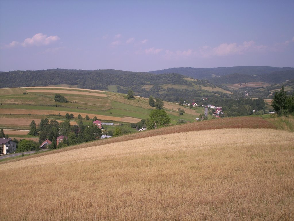 Tyrawa Wołoska - Widok (View) by M.Terebecki Sanok