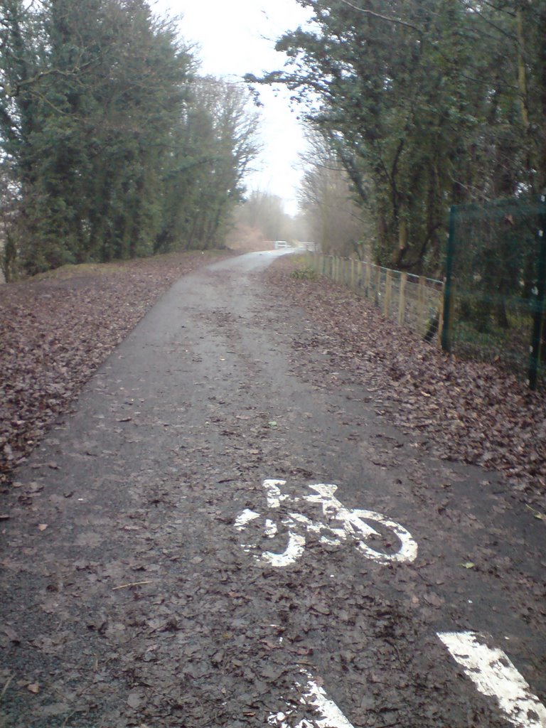 Cycle path to and from knowhere by p.mackrell