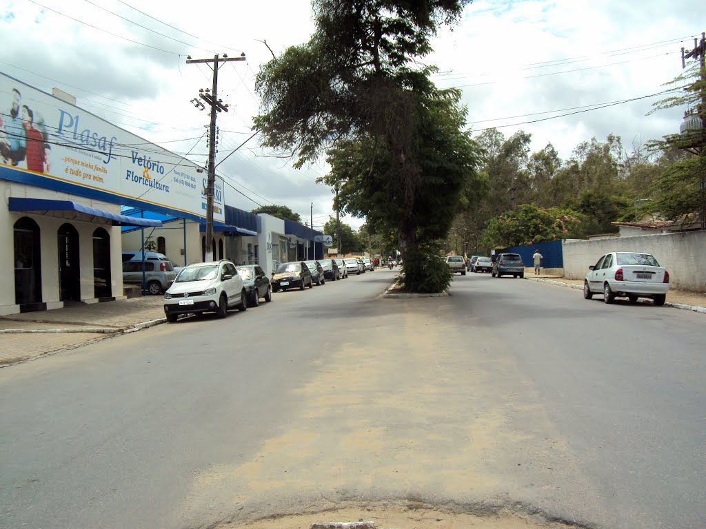 Avenida Simoa Gomes, Garanhuns, Pernambuco, Brazil by Orlando de Almeida Calado