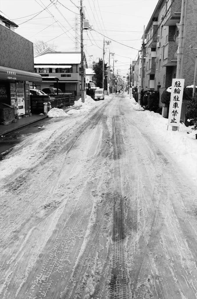 雪道 by Syncopated_Frog