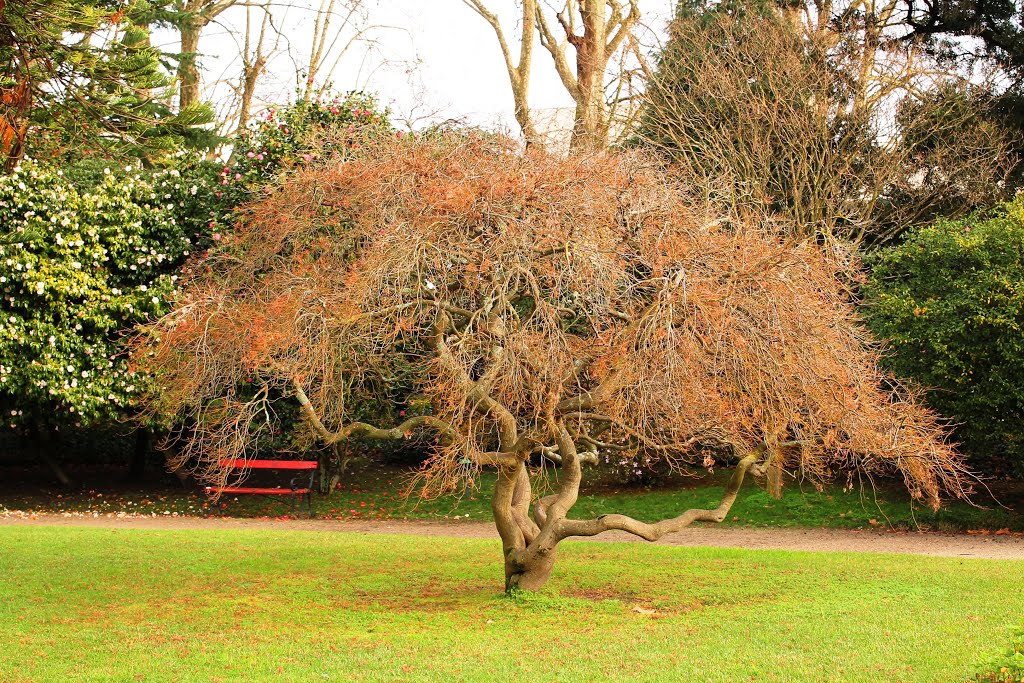 Jardins do Palácio de Cristal, Porto by Margarida Bico