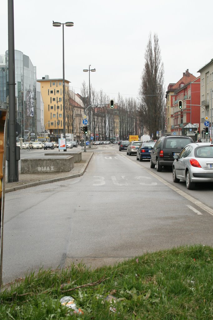 Munich - Leopold Street - bus lane #02 by O_Canada