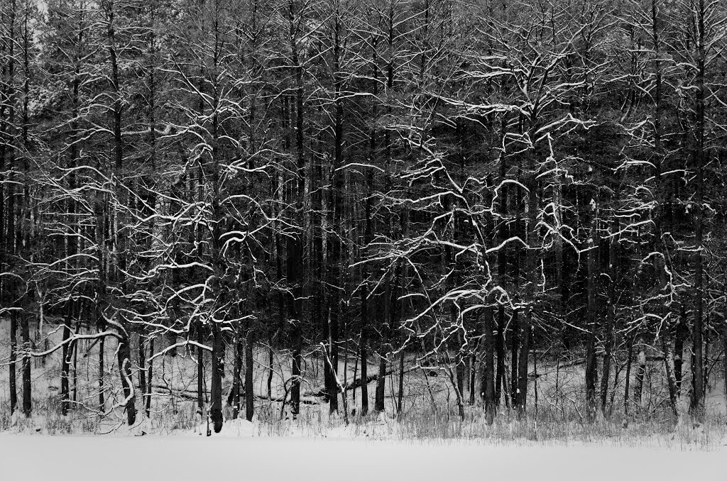 View from Elniakampis Lake by GTKTS