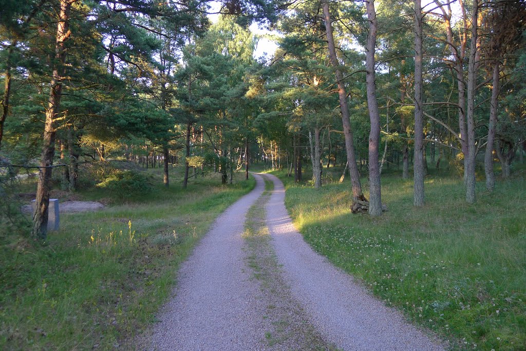 Klittervägen by Anders Lagerås