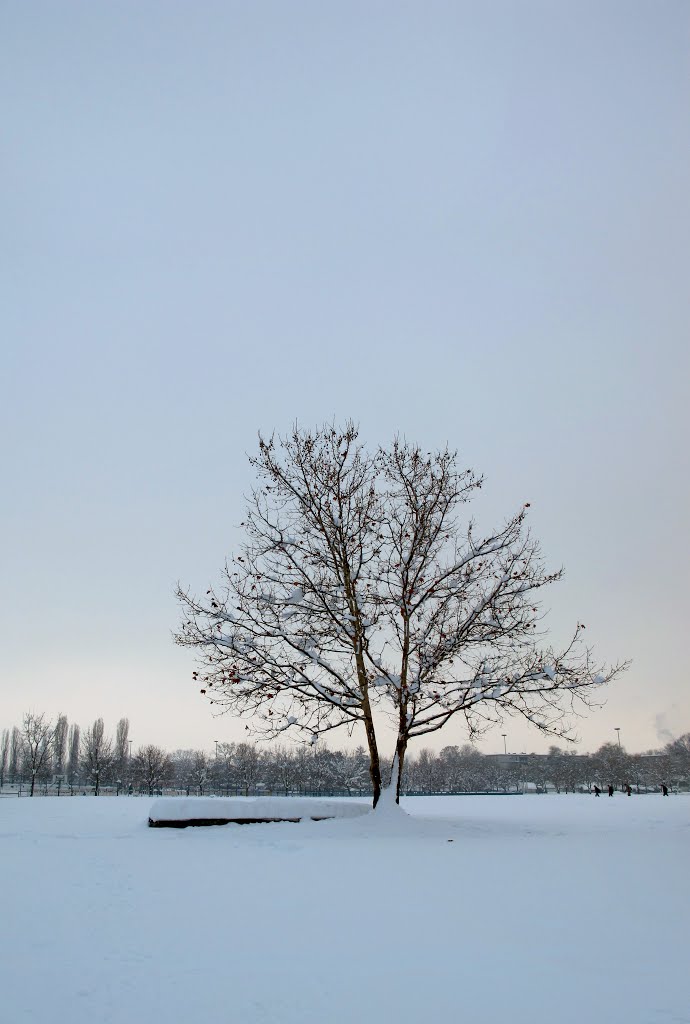 Visina snijega 70 cm, Zagreb, Žitnjak by l@l