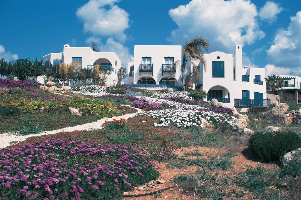 Leptos Kissonerga Villas (www.LeptosEstates.com) by Marilena Panayiotaki