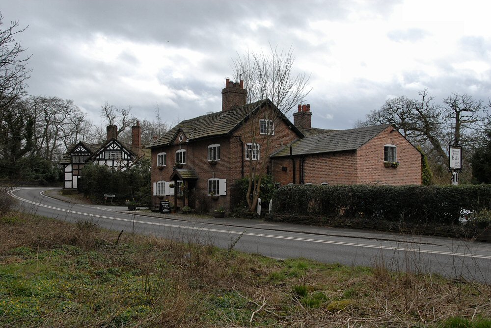 Guest House by David Humphreys