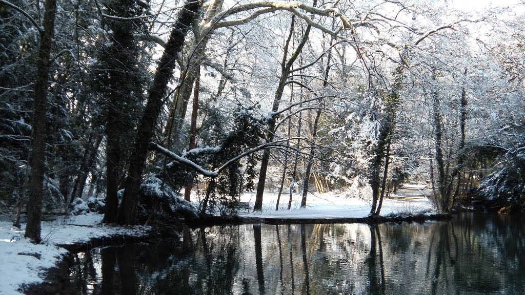 Meylan - Parc des étangs sous la neige by pieram