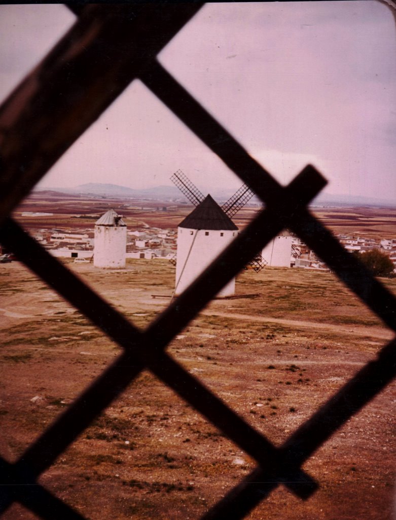 *MOLINOS DE VIENTO* CAMPO DE CRIPTANA-Cdad.Real- by "Cuky"/A.S.G."NO VIE…