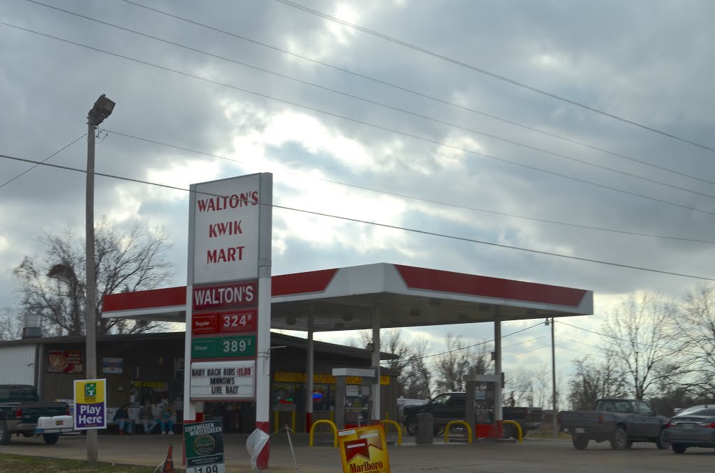 Walton's Kwik Mart, Samburg, TN by Buddy Rogers