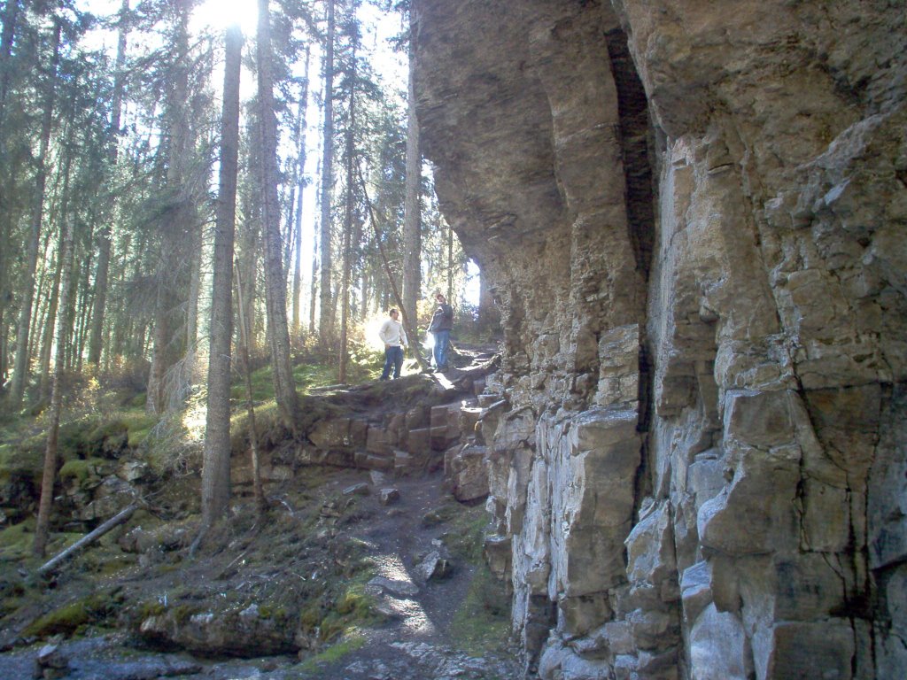 Johnston Canyon Side Path by Steven Daniels